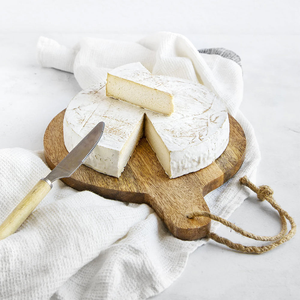 Alternative vegan al formaggio