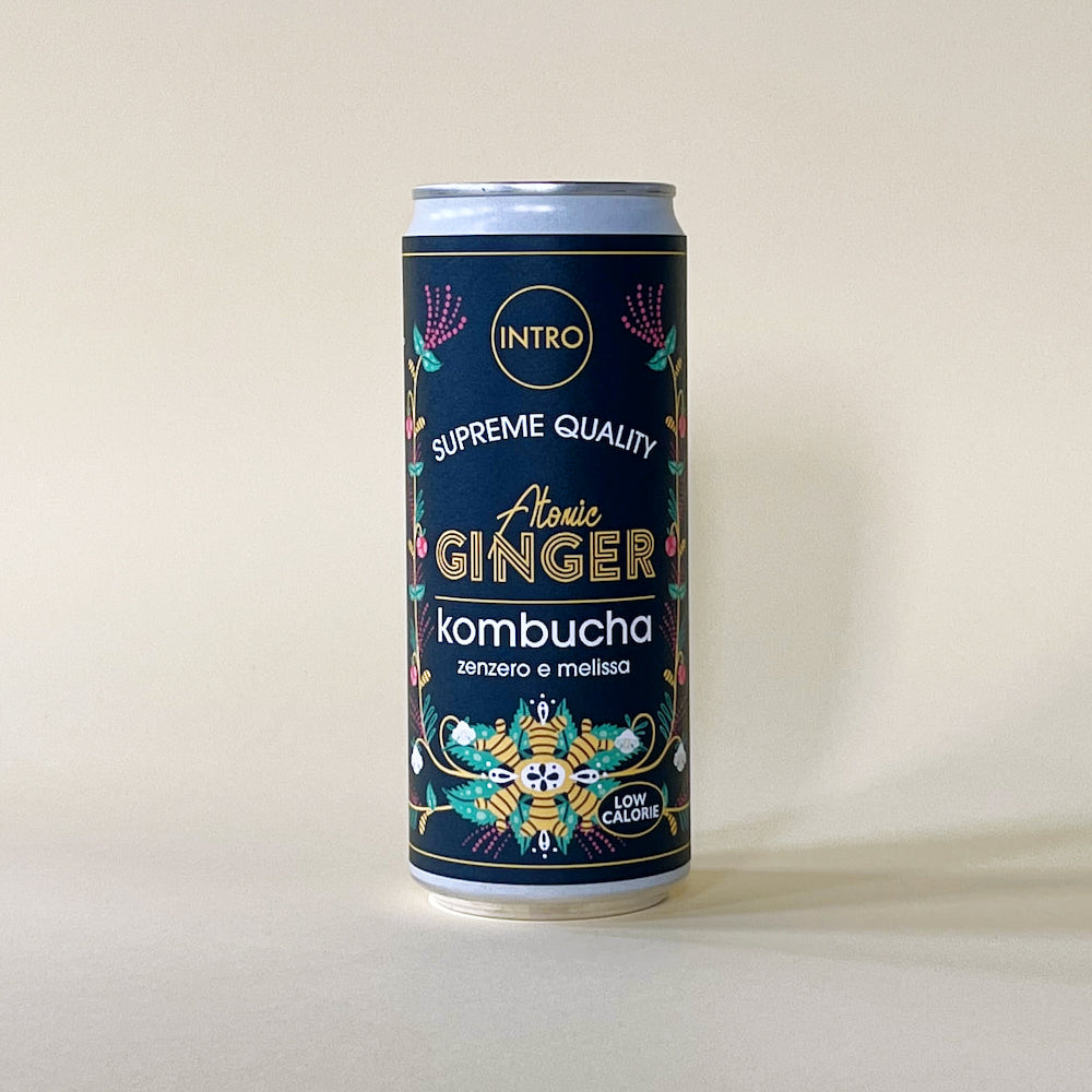 Kombucha zenzero e melissa